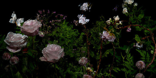 Underwater photograph floral vanitas crop Verdant Low Light tonality