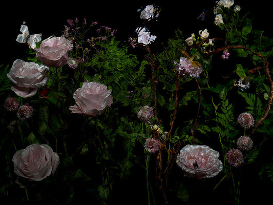 Underwater photograph floral vanitas Verdant Low Light tonality