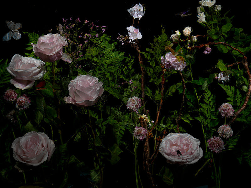 Underwater photograph floral vanitas Verdant Low Light tonality