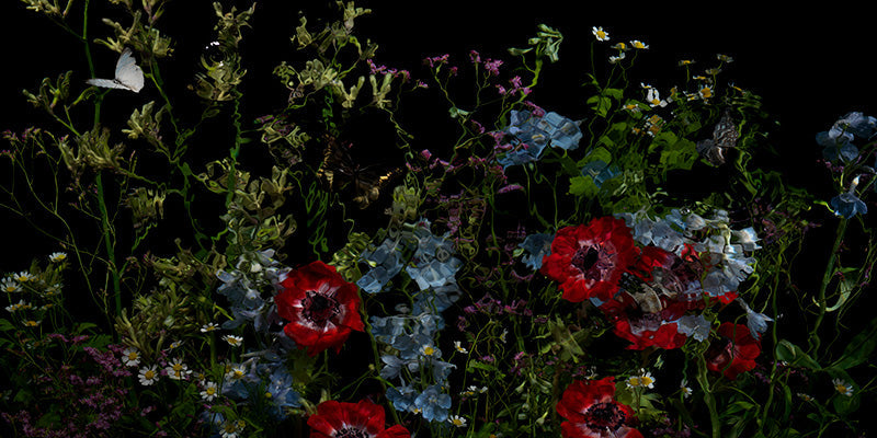 Underwater photograph floral vanitas crop Warm Low Light tonality