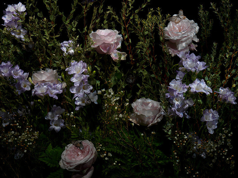 Underwater photograph floral vanitas Warm Low Light tonality