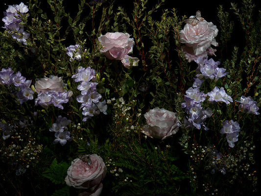 Underwater photograph floral vanitas Warm Low Light tonality