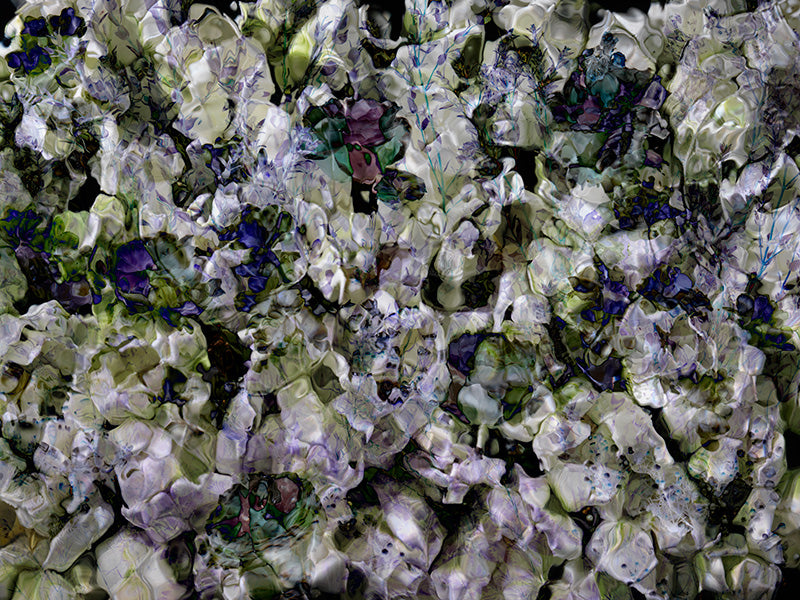 Underwater photograph floral vanitas Verdant Mid Tone tonality