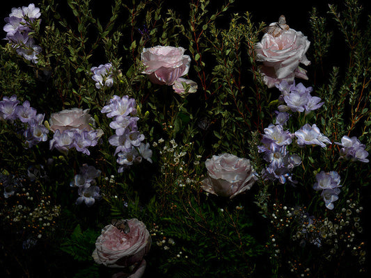 Underwater photograph floral vanitas Warm Low Light tonality