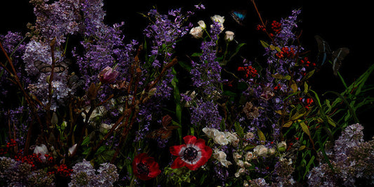 Underwater photograph floral vanitas crop Warm Low Light tonality
