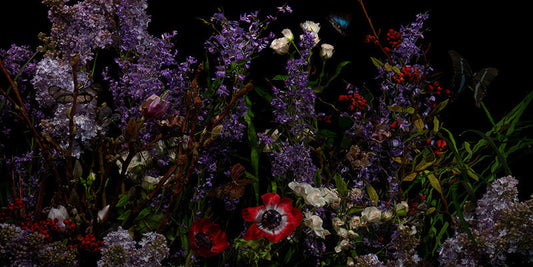 Underwater photograph floral vanitas crop Warm Low Light tonality