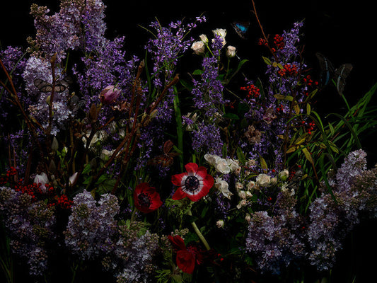 Underwater photograph floral vanitas Warm Low Light tonality