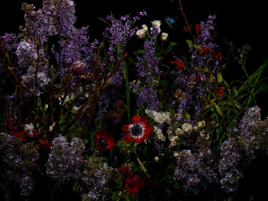 Underwater photograph floral vanitas Warm Low Light tonality