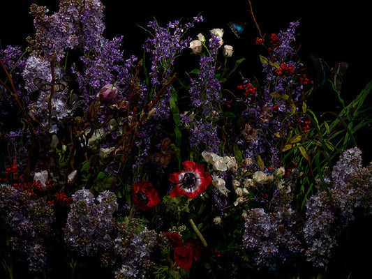 Underwater photograph floral vanitas Warm Low Light tonality