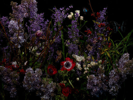 Underwater photograph floral vanitas Warm Low Light tonality