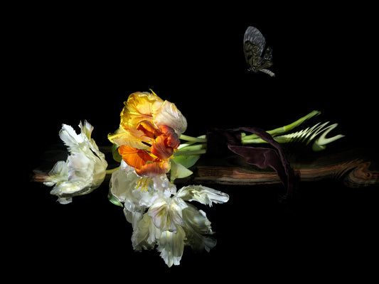 Frequency Resurrection, Underwater Vanitas Print  photographic print - €3200 | Shop now & buy direct from the artists studio - Distil Ennui ™ est.1990.