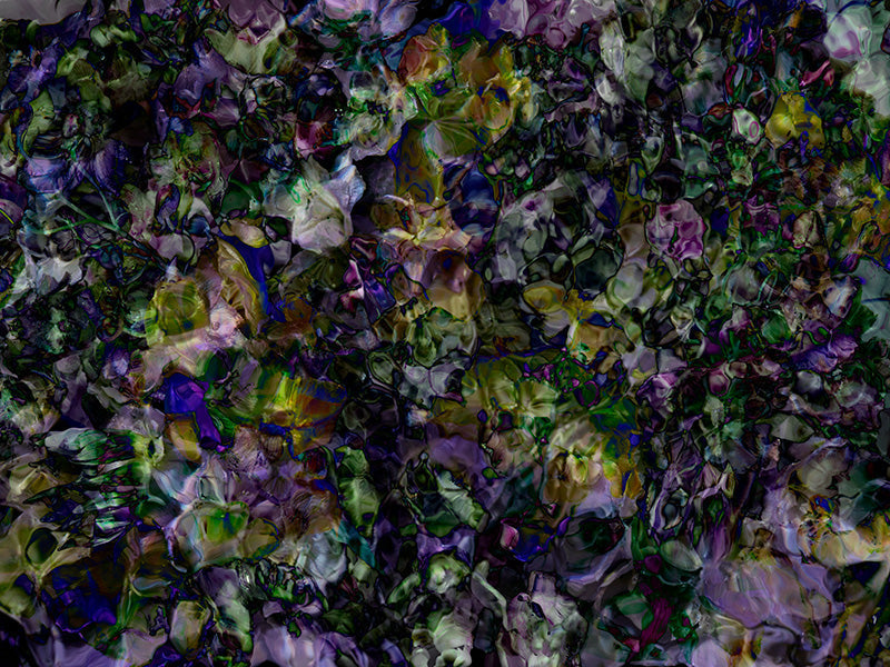 Underwater photograph Verdant Low Light tonality