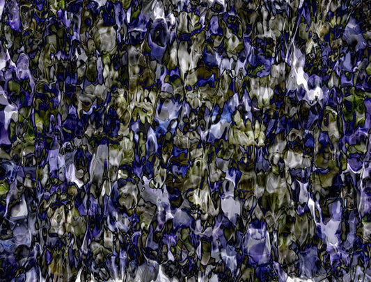 Underwater photograph Cool Mid Tone tonality
