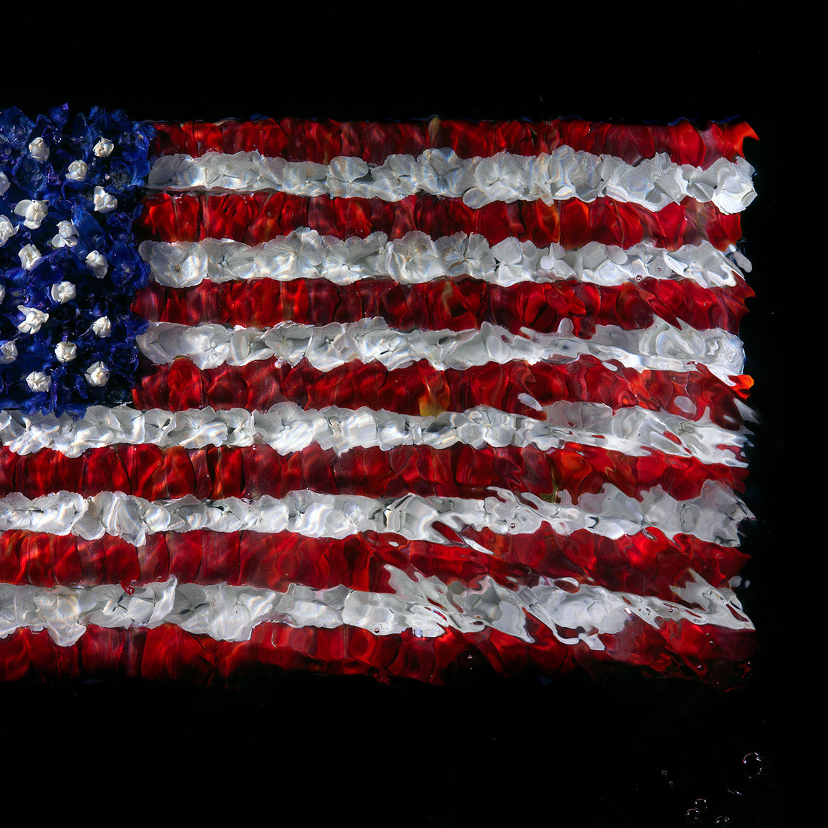 One-of-a-kind giclée print American Flag 0117