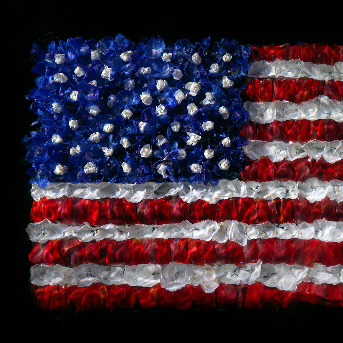 American Flag floral giclée print photographed underwater