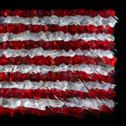 American Flag floral sculpture underwater print