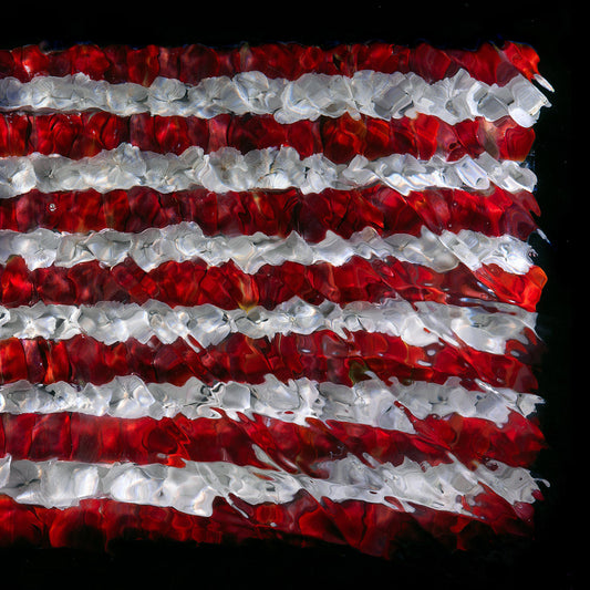 American Flag floral sculpture underwater print