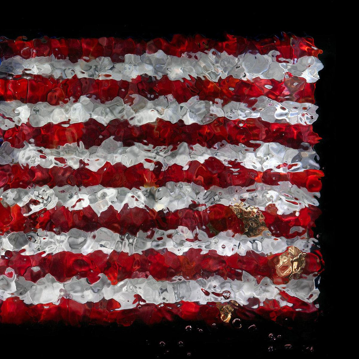 American Flag flower petal sculpture in giclée print