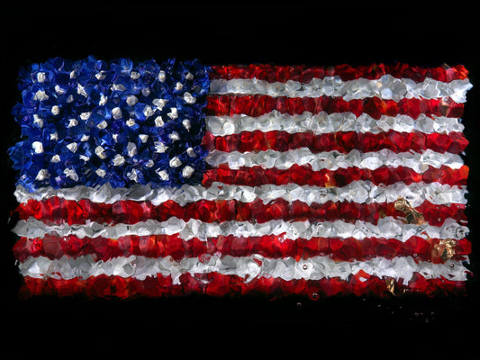 American Flag floral giclée artwork photographed underwater