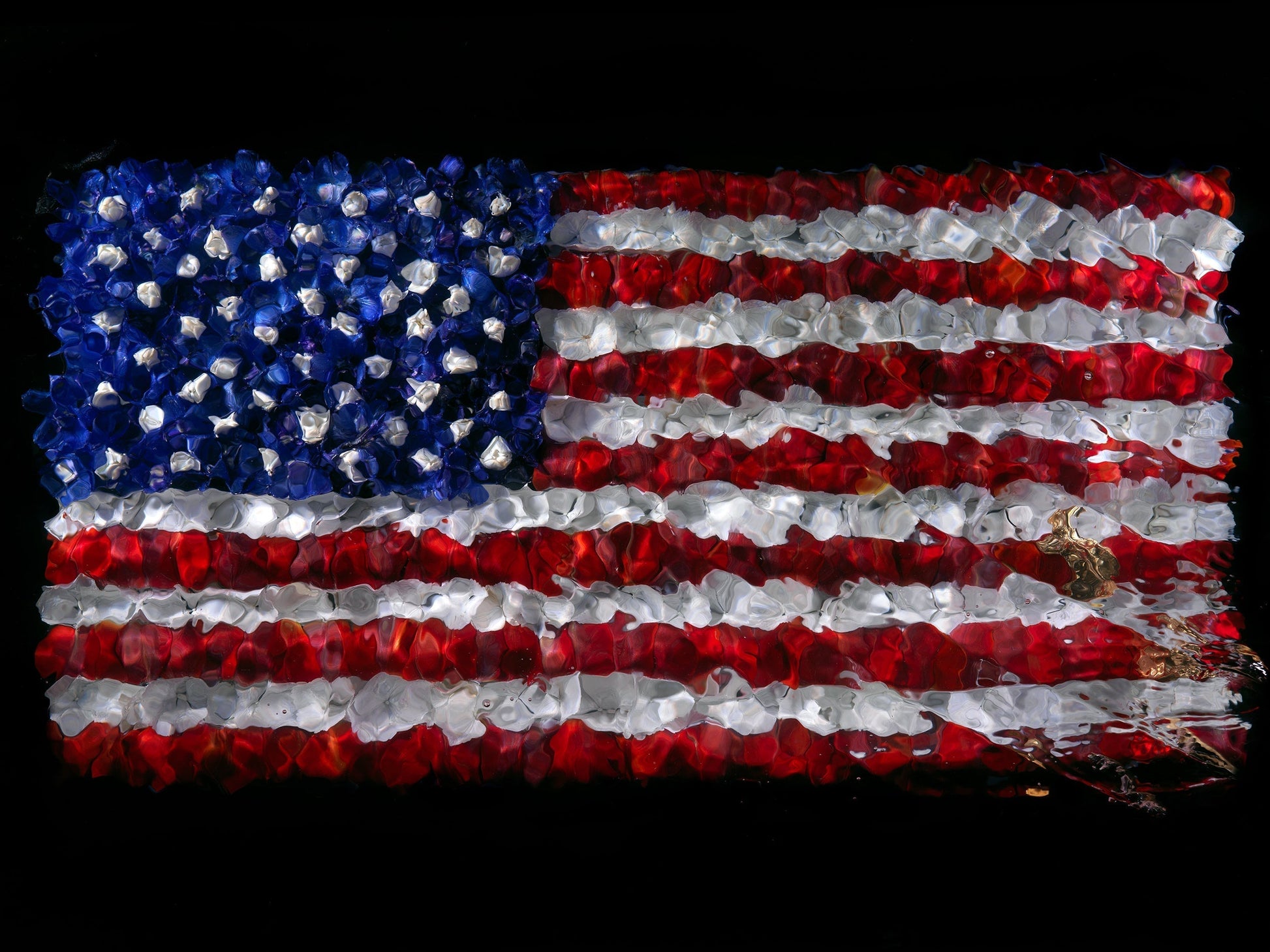 High-resolution American Flag flower giclée artwork