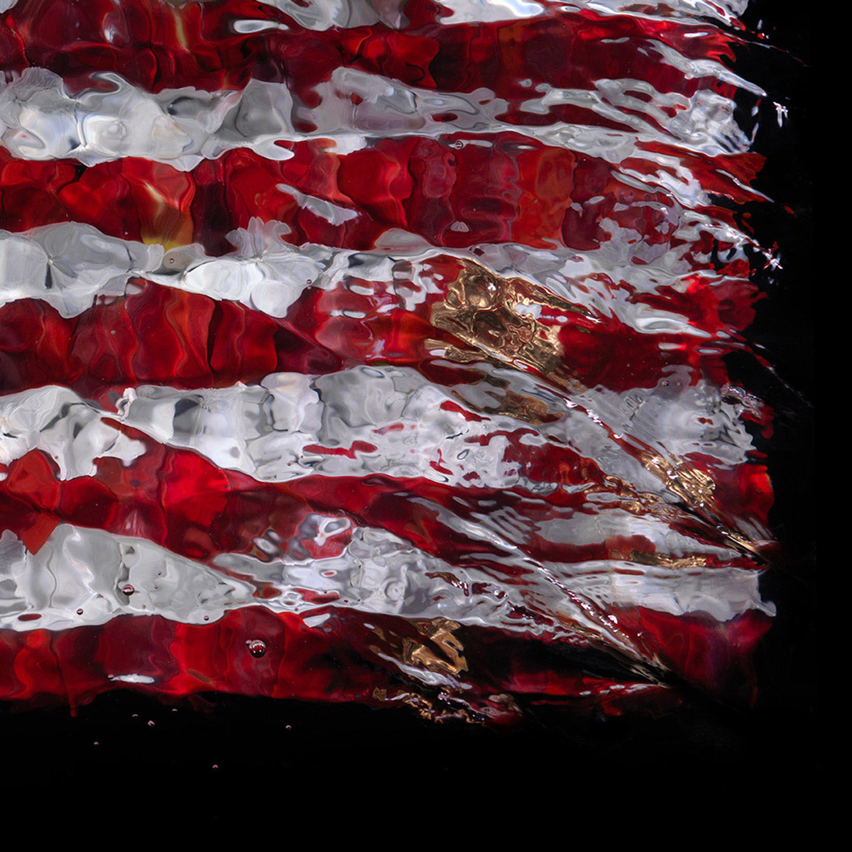 American Flag 0180 underwater floral art on film