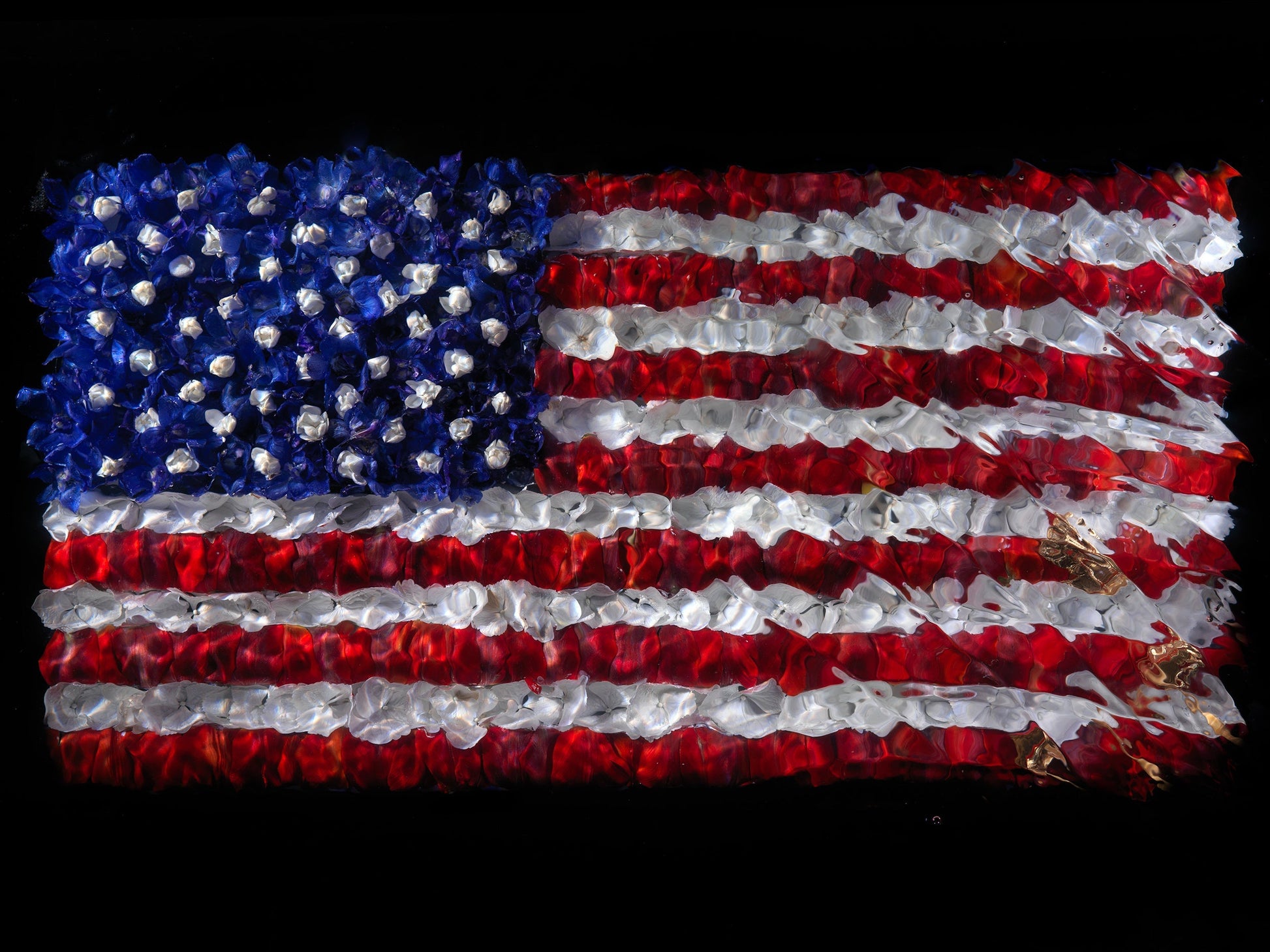 Underwater sculpture of American Flag in flower petals