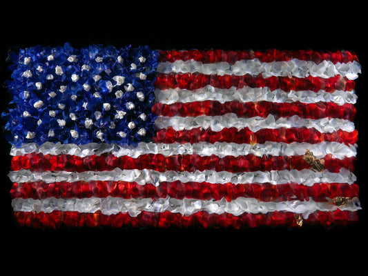 Underwater flower sculpture of American Flag