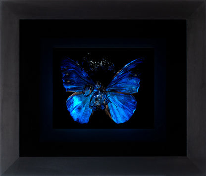 Transparency of a dream illuminated. Plate XI  photographic print - €6950 | Shop now & buy direct from the artists studio - Distil Ennui ™ est.1990.