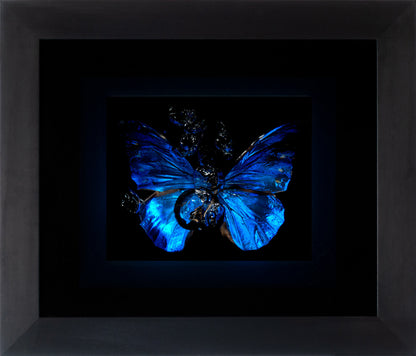 Transparency of a dream illuminated. Plate XII  photographic print - €6950 | Shop now & buy direct from the artists studio - Distil Ennui ™ est.1990.