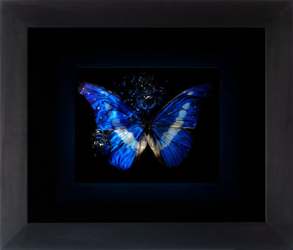 Transparency of a dream illuminated. Plate XIII  photographic print - €6950 | Shop now & buy direct from the artists studio - Distil Ennui ™ est.1990.