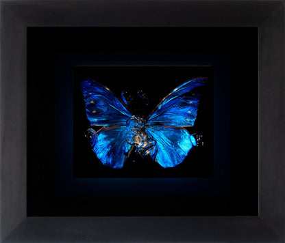 Transparency of a dream illuminated. Plate II  photographic print - €6950 | Shop now & buy direct from the artists studio - Distil Ennui ™ est.1990.