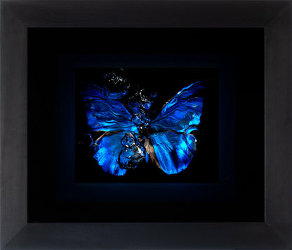 Transparency of a dream illuminated. Plate IV  photographic print - €6950 | Shop now & buy direct from the artists studio - Distil Ennui ™ est.1990.