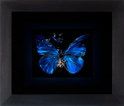 Transparency of a dream illuminated. Plate VIII  photographic print - €6950 | Shop now & buy direct from the artists studio - Distil Ennui ™ est.1990.