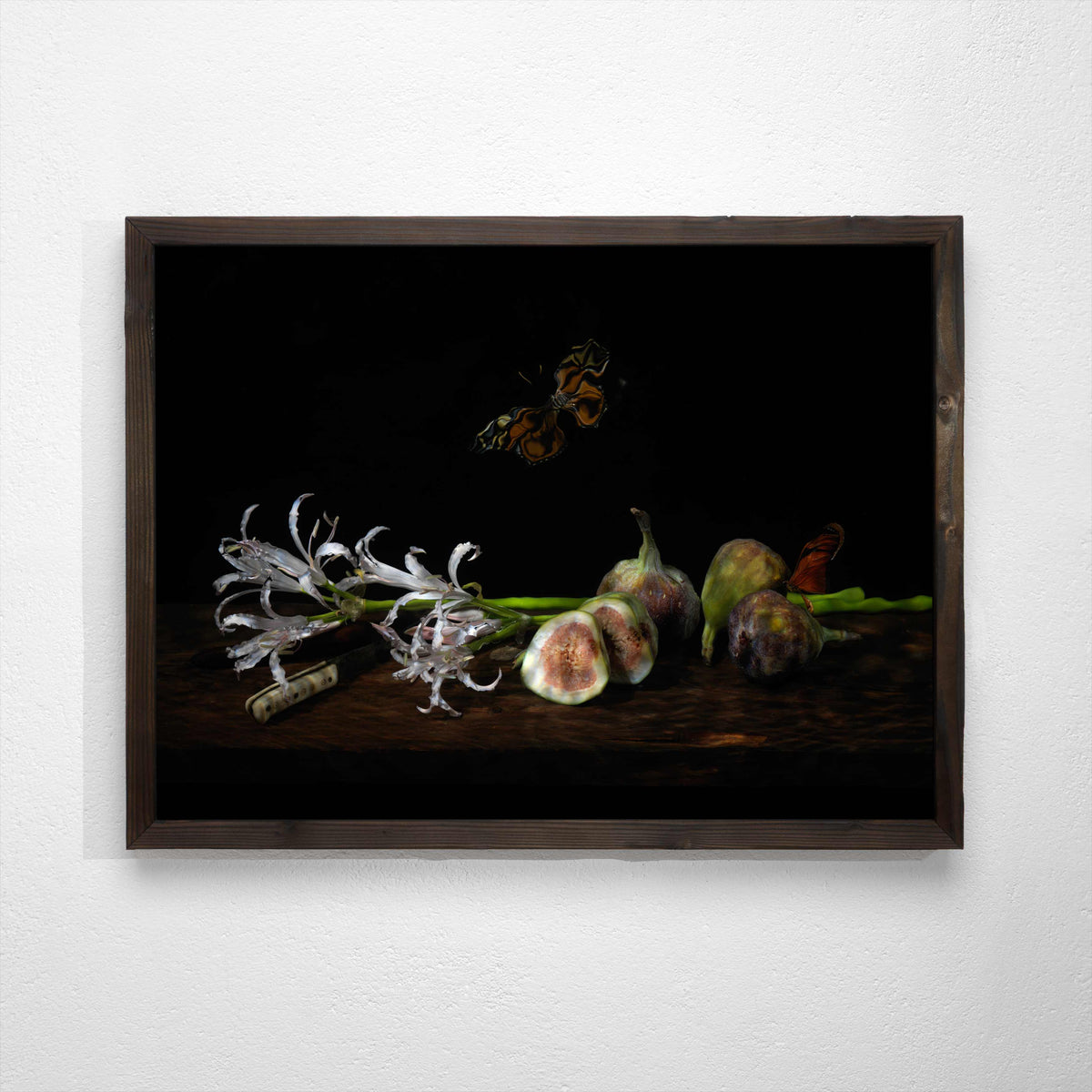 figs and butterfly set the csene for this vanitas photograph