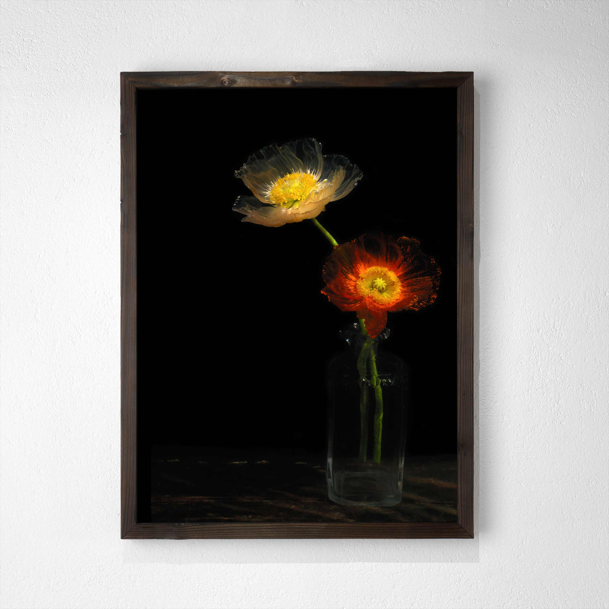 vanitas variations by alexander james hamilton water as a lens