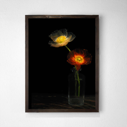 vanitas variations by alexander james hamilton water as a lens
