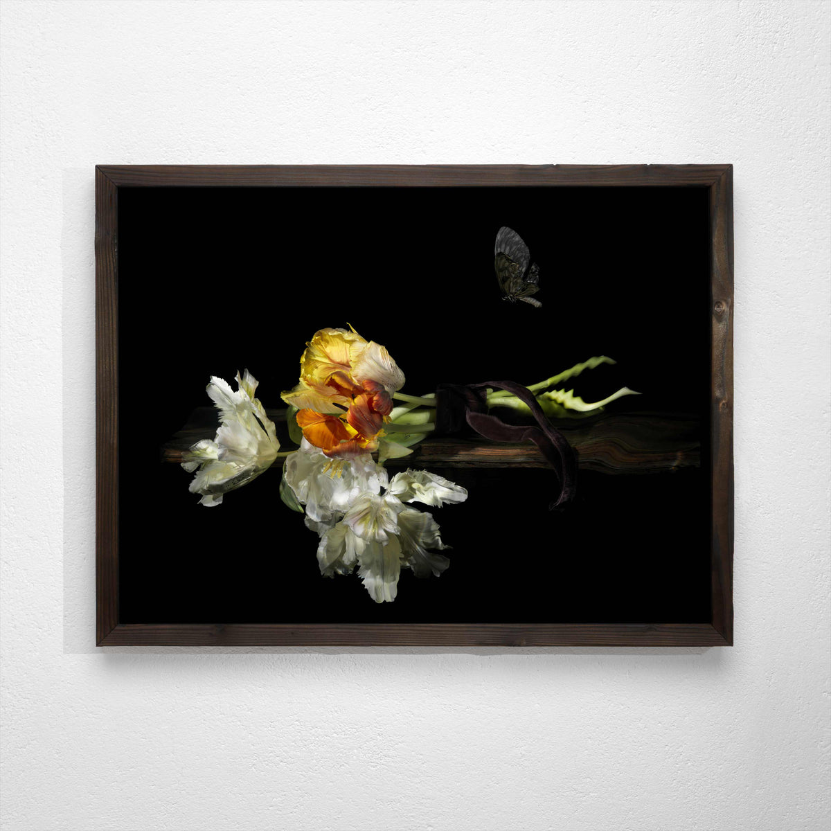 using water as a lens artist creates painterly photographs