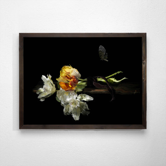 using water as a lens artist creates painterly photographs
