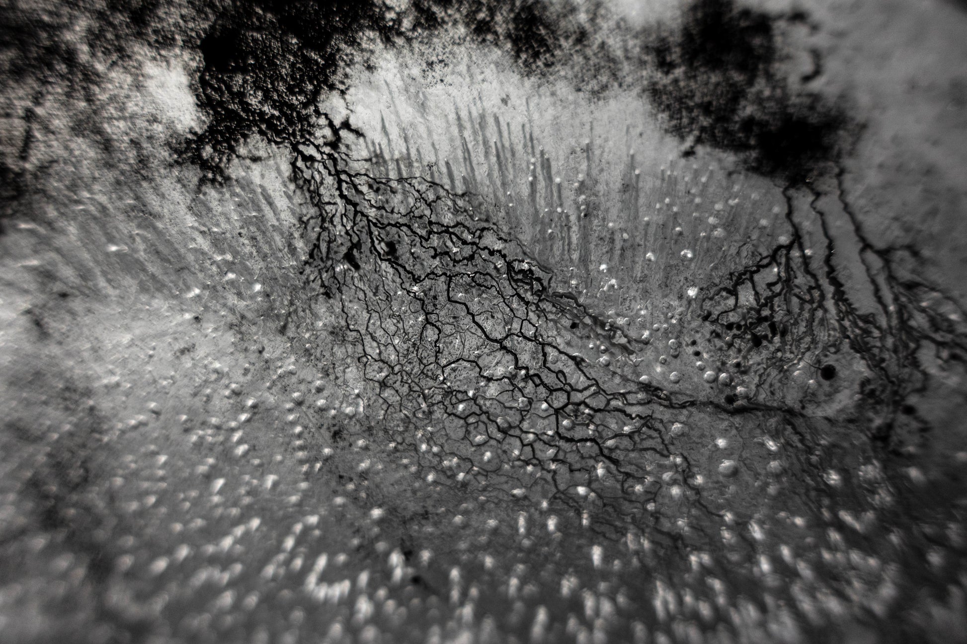 Enthalpy of fusion ´Plate No. 00882´  photographic print - €2300 | Shop now & buy direct from the artists studio - Distil Ennui ™ est.1990.
