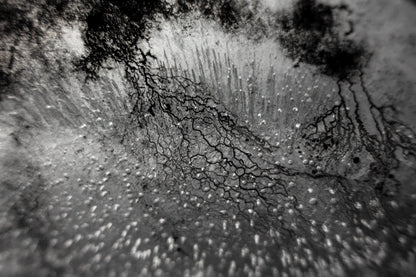 Enthalpy of fusion ´Plate No. 00882´  photographic print - €2300 | Shop now & buy direct from the artists studio - Distil Ennui ™ est.1990.