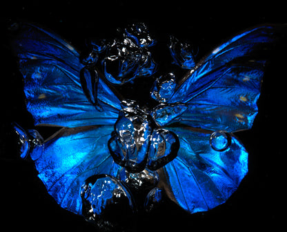 Transparency of a dream illuminated. Plate V  photographic print - €6950 | Shop now & buy direct from the artists studio - Distil Ennui ™ est.1990.