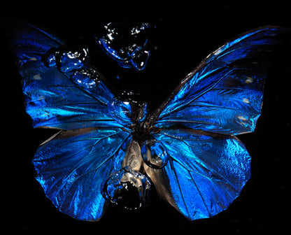 Transparency of a dream illuminated. Plate VIII  photographic print - €6950 | Shop now & buy direct from the artists studio - Distil Ennui ™ est.1990.