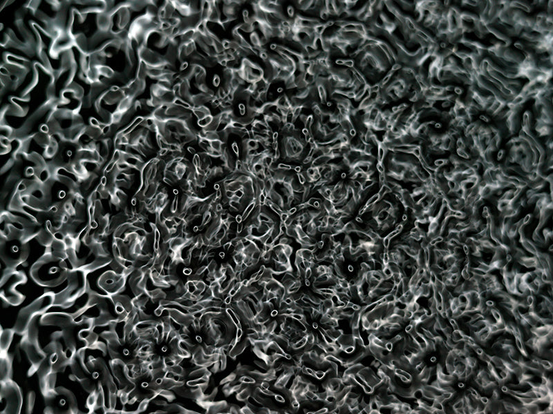 Underwater photograph water light science experiments pure physics Verdant Low Light tonality from Cymatic Water and L