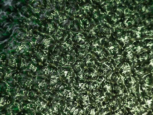 Underwater photograph water light science experiments pure physics Verdant Mid Tone tonality from Cymatic Water and Li