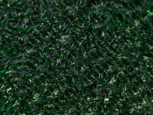 Underwater photograph water light science experiments pure physics Verdant Low Light tonality from Cymatic Water and L