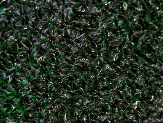 Underwater photograph water light science experiments pure physics Verdant Low Light tonality from Cymatic Water and L