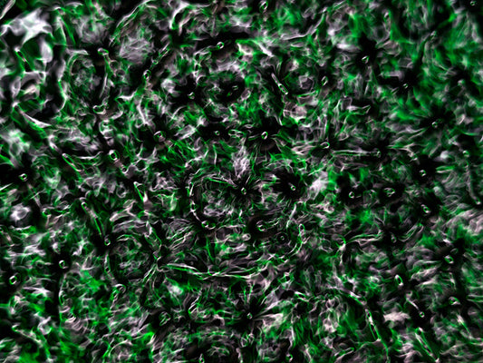 Underwater photograph water light science experiments pure physics Verdant Low Light tonality from Cymatic Water and L