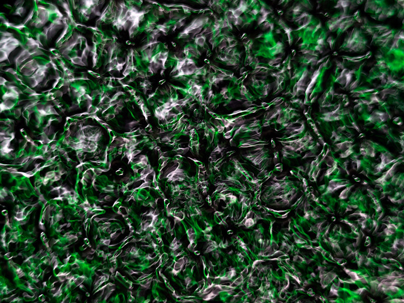 Underwater photograph water light science experiments pure physics Verdant Low Light tonality from Cymatic Water and L