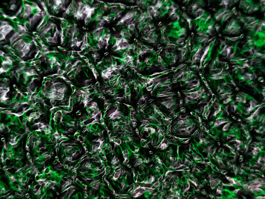 Underwater photograph water light science experiments pure physics Verdant Low Light tonality from Cymatic Water and L