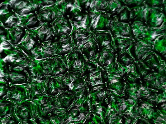 Underwater photograph water light science experiments pure physics Verdant Low Light tonality from Cymatic Water and L